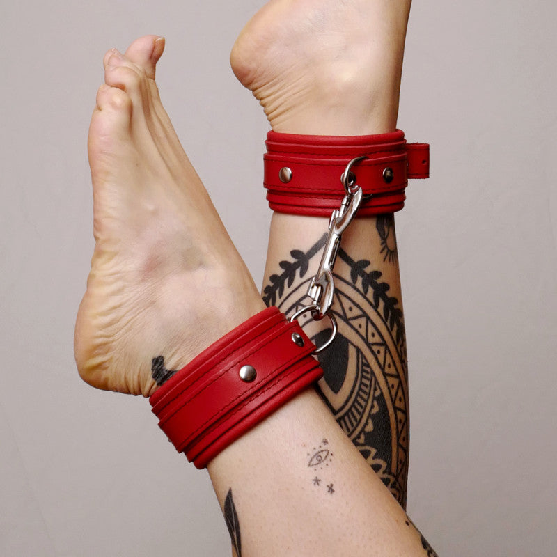 Leather red ankle boots and silver ties