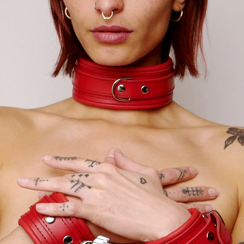 Leather red collar and silver ties